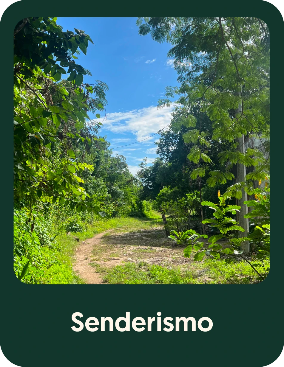 Camino del Mayab 1